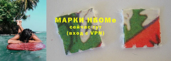 прущие грибы Алзамай