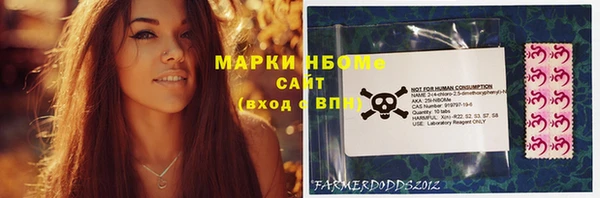 прущие грибы Алзамай