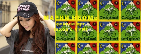 прущие грибы Алзамай