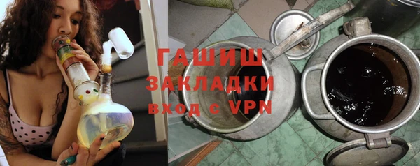 прущие грибы Алзамай