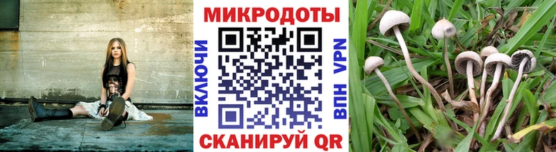 купить закладку  Копейск  Галлюциногенные грибы мухоморы 